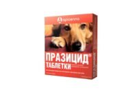 Prazicid tablets for dogs