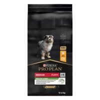 Pro Plan Medium Puppy chicken12 kg