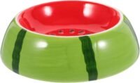 Ceramic bowl Watermelon