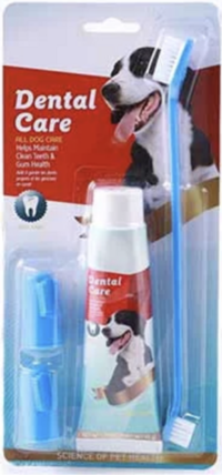 Denta Care Toothpaste and Brush