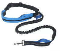 DongDa blue harness