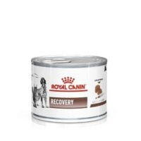 Royal Canin Recovery (85g)